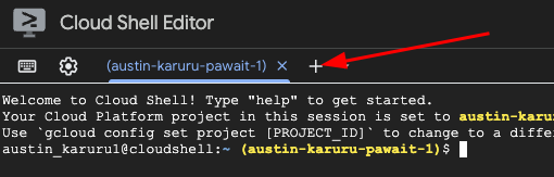 Open a New Cloud Shell Terminal